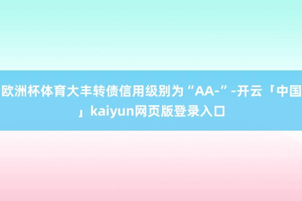 欧洲杯体育大丰转债信用级别为“AA-”-开云「中国」kaiyun网页版登录入口