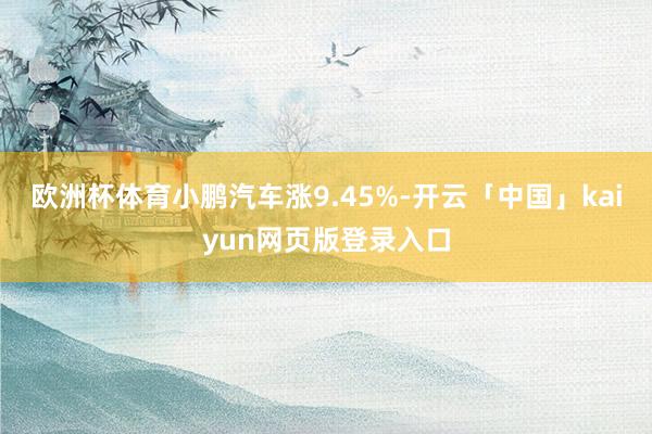 欧洲杯体育小鹏汽车涨9.45%-开云「中国」kaiyun网页版登录入口