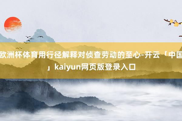 欧洲杯体育用行径解释对侦查劳动的至心-开云「中国」kaiyun网页版登录入口