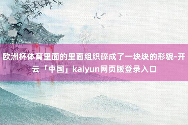 欧洲杯体育里面的里面组织碎成了一块块的形貌-开云「中国」kaiyun网页版登录入口
